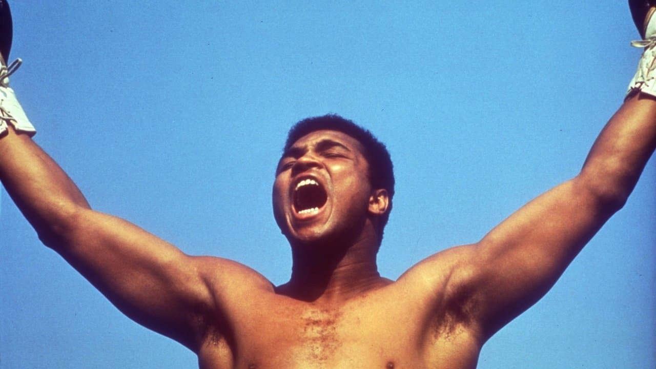 Backdrop – Muhammad Ali - Der größte Boxer aller Zeiten