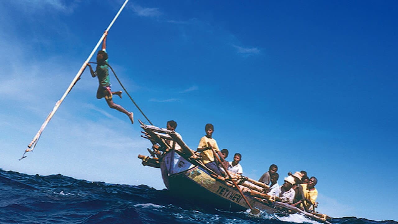 Backdrop – くじらびと