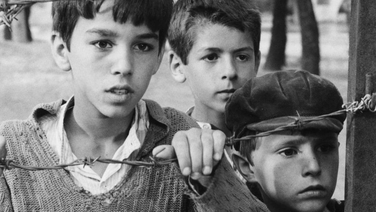 Backdrop – Tomka dhe shokët e tij