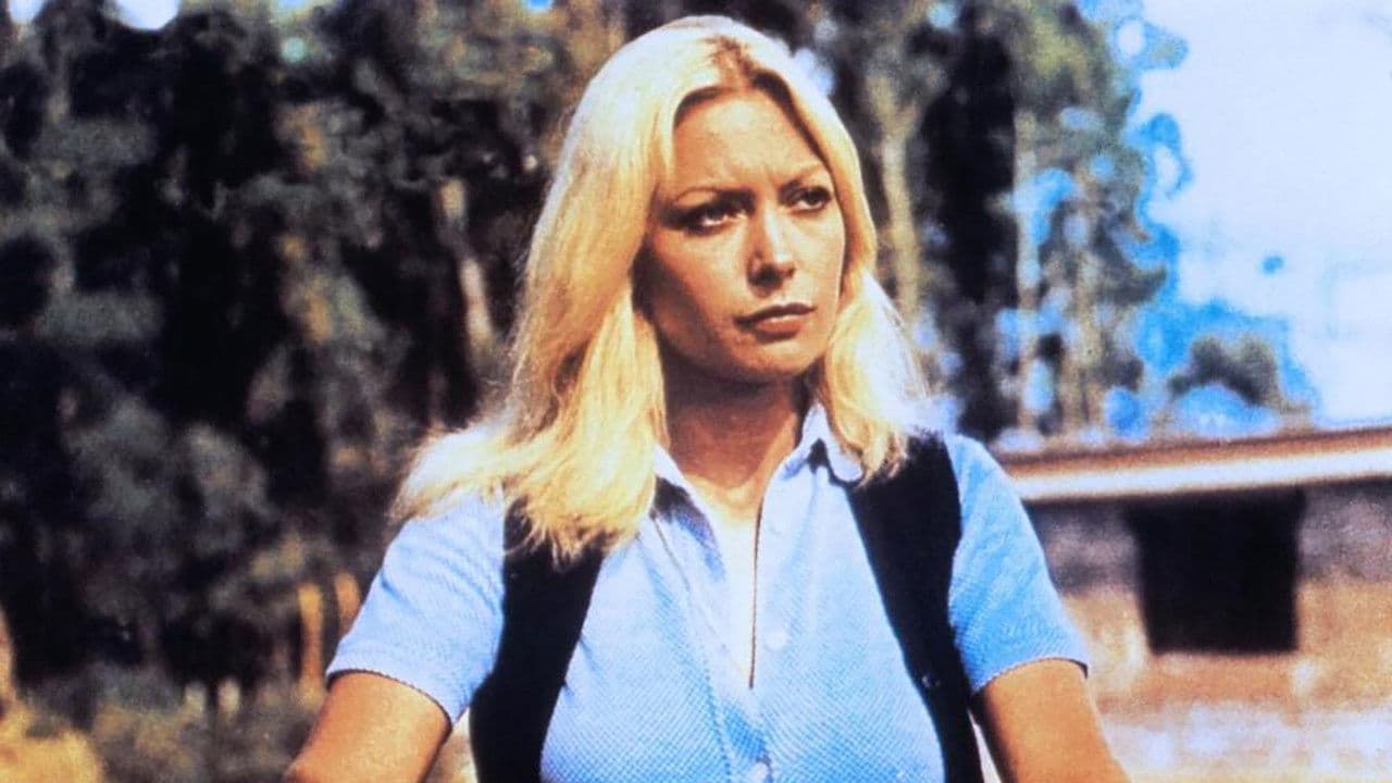 Backdrop – Allein gegen das Gesetz