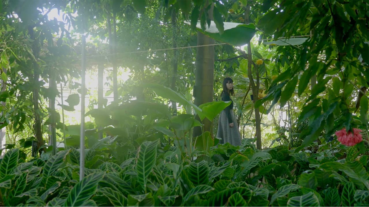 Backdrop – 散歩する植物