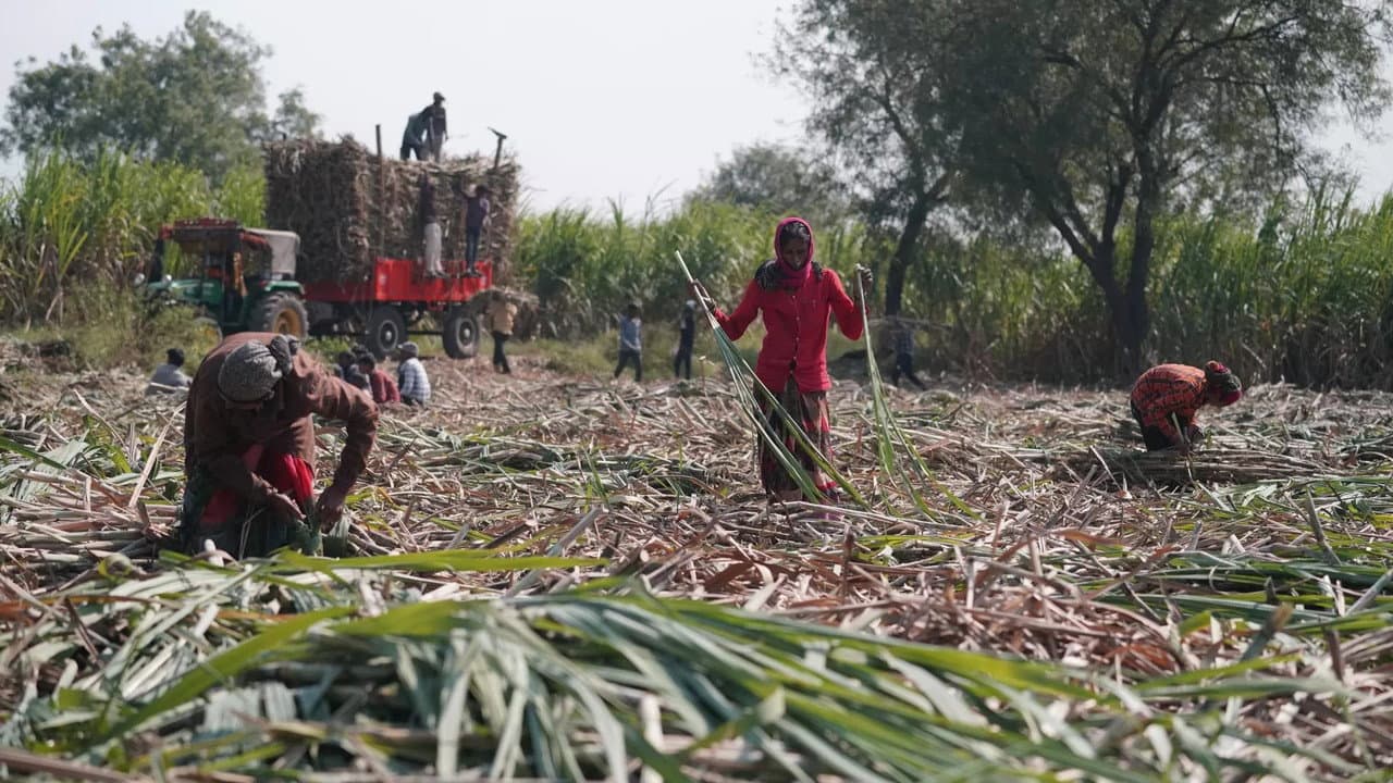 Backdrop – Inde : les villages sans utérus / RDC : le long chemin d’un salaire