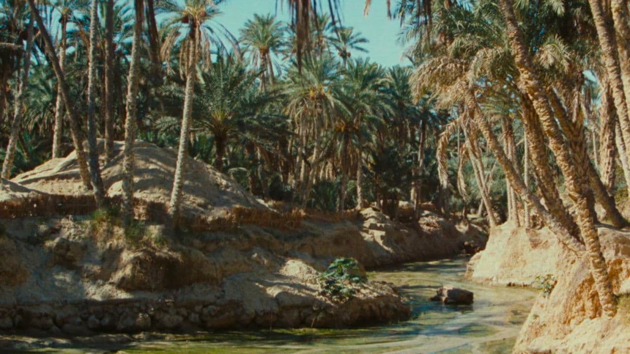 Backdrop – Zaa, petit chameau blanc