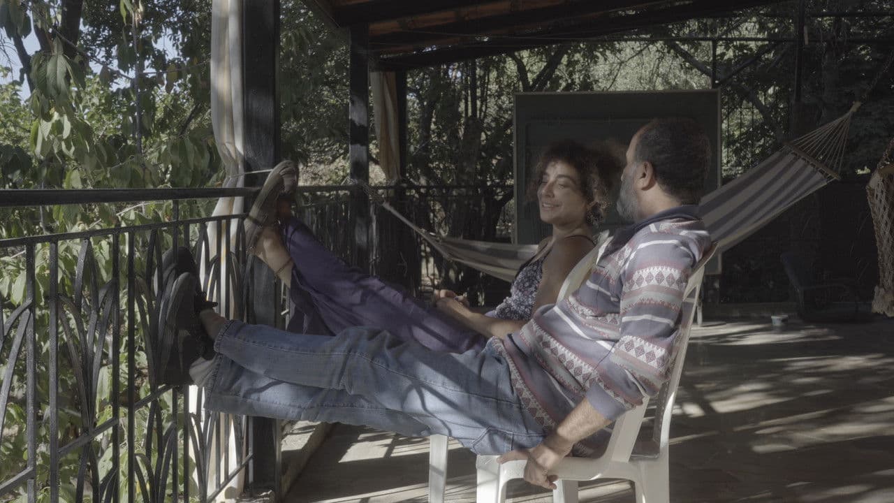 Backdrop – The cats, the sea, and everything in between.