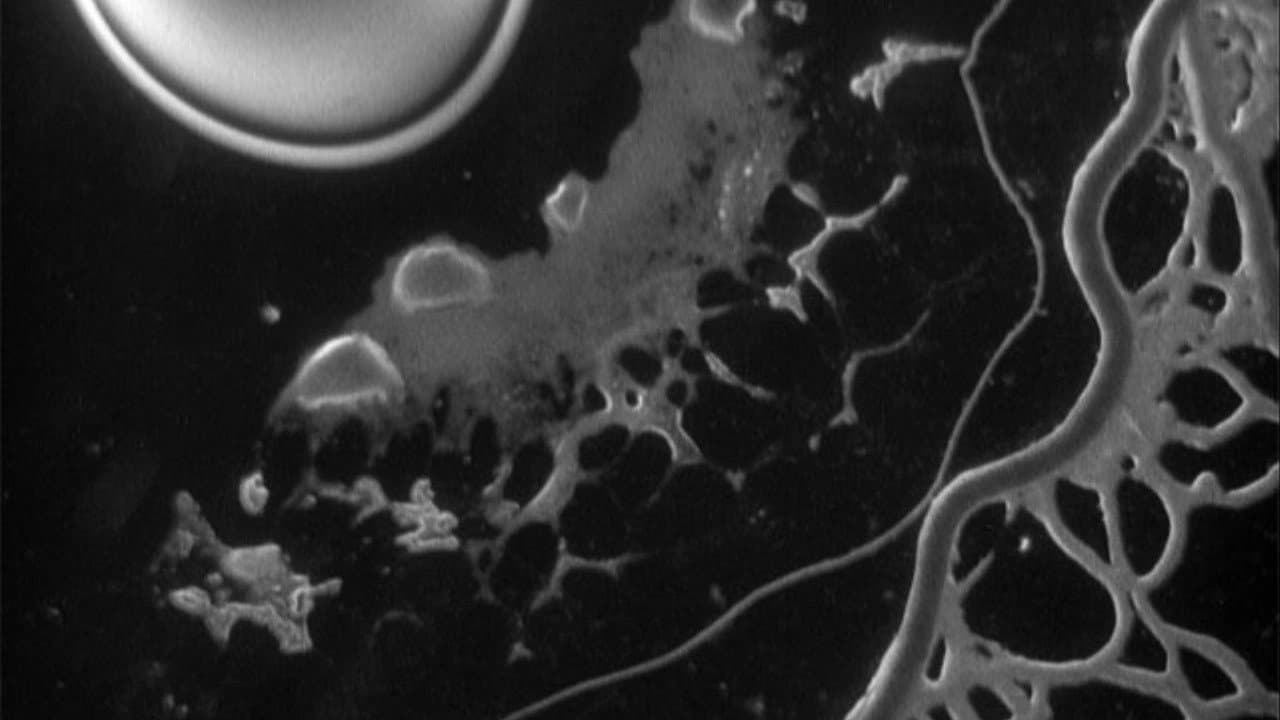 Backdrop – Magic Myxies