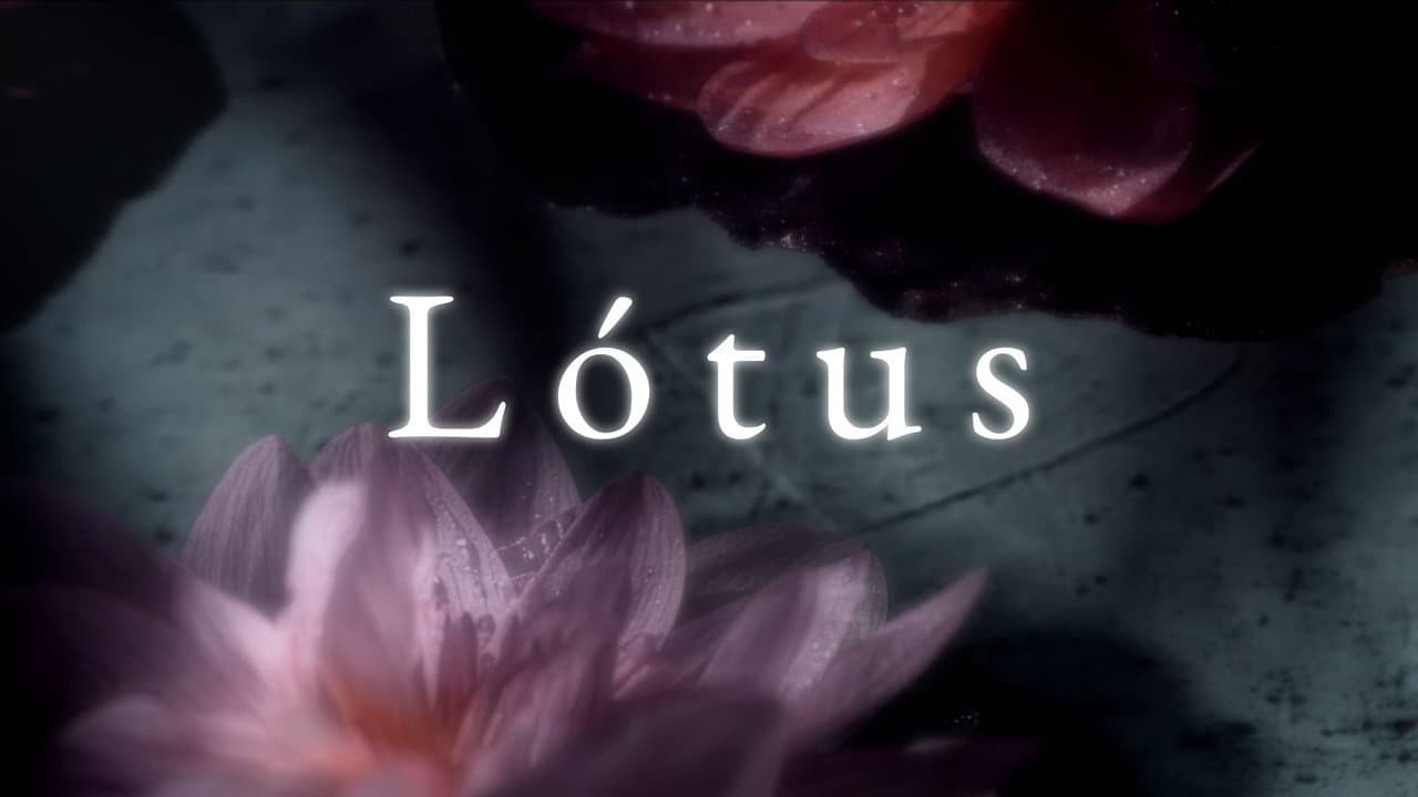Backdrop – Lótus