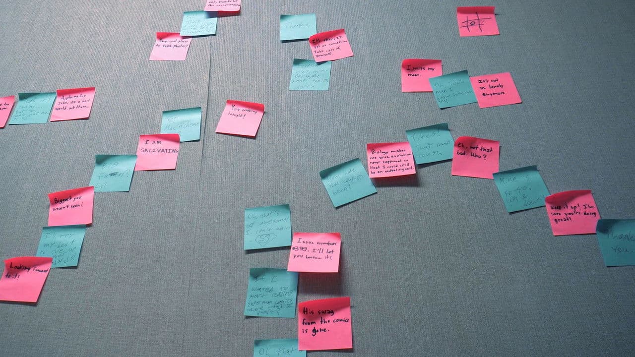 Backdrop – I Will See You, Starling