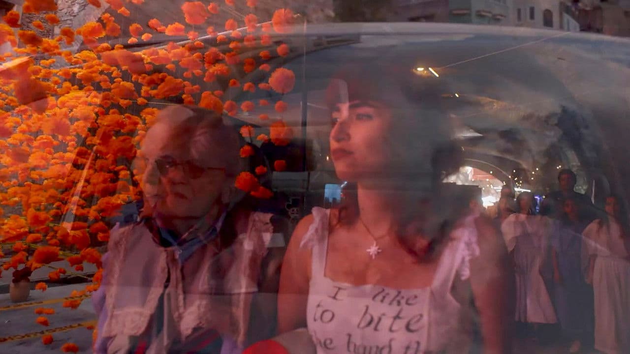 Backdrop – Don Barry: A Quixotic Exploration