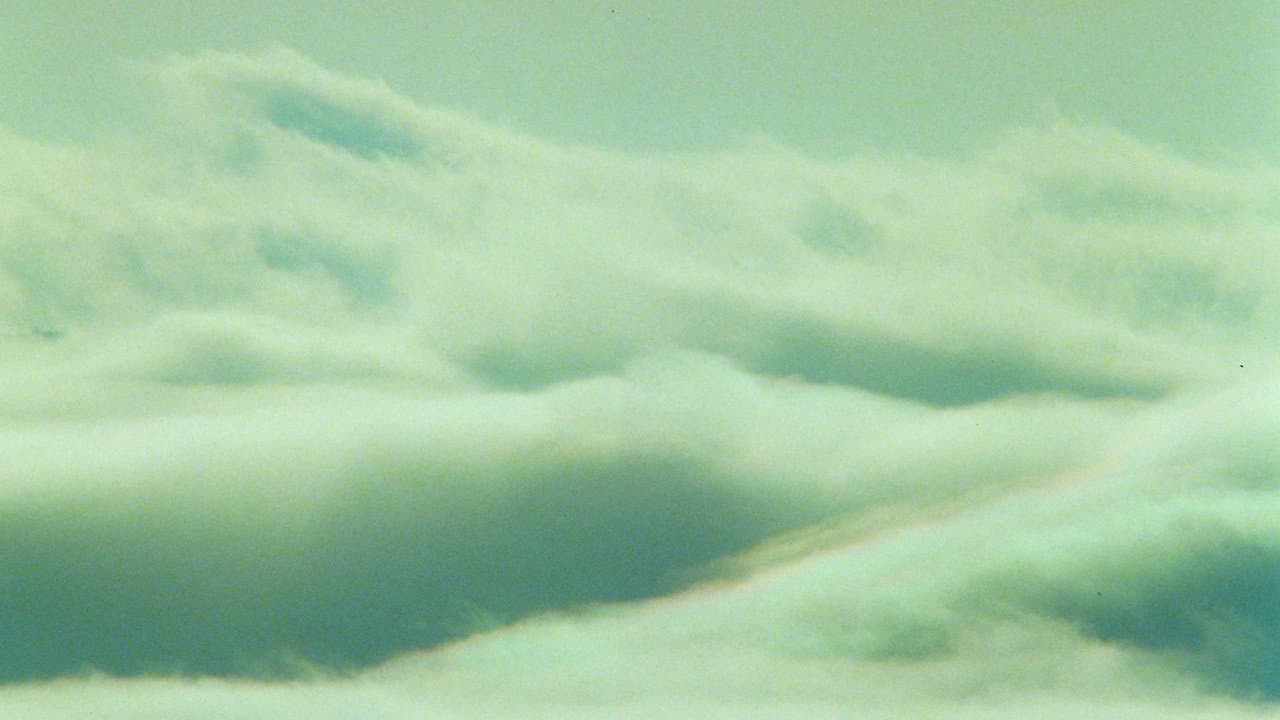 Backdrop – The Long Rainbow