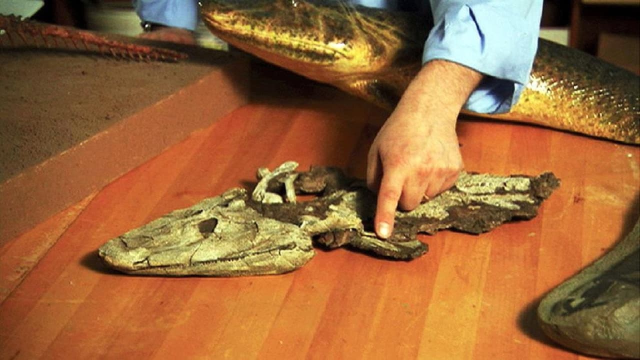 Backdrop – NOVA: Judgement Day - Intelligent Design on Trial