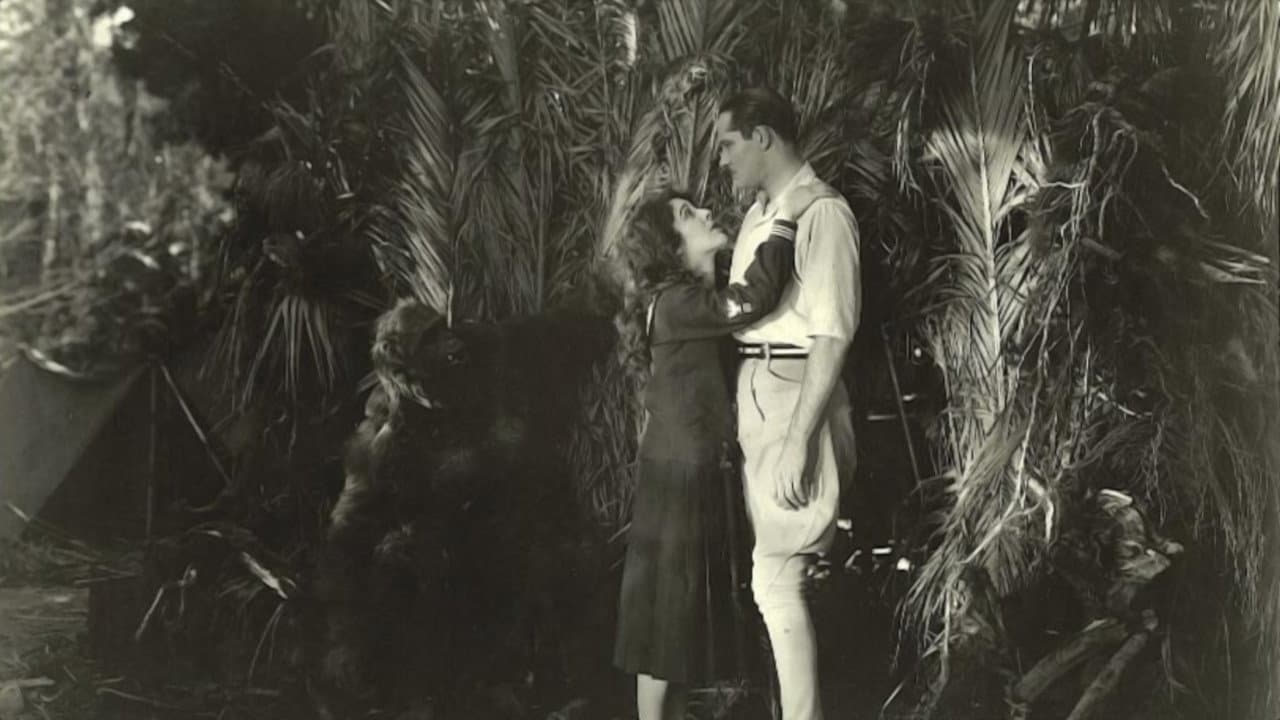 Backdrop – Lorraine of the Lions