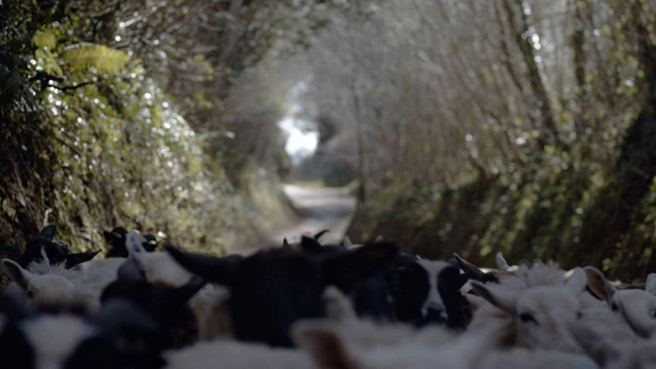 Backdrop – The Gentleman Farmer