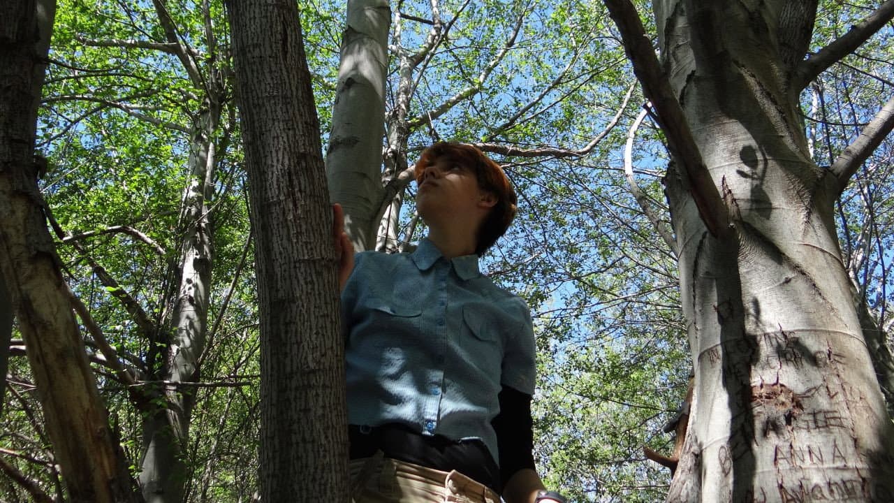 Backdrop – Please Let Me Wonder