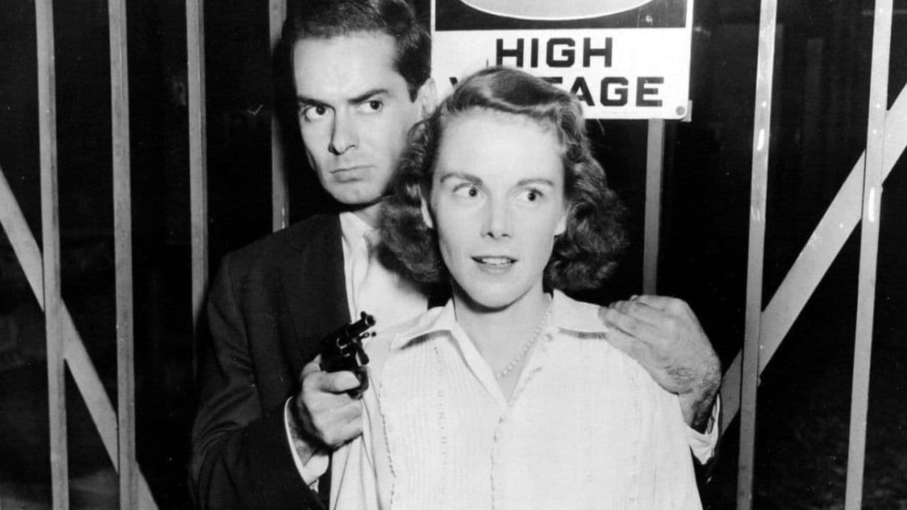 Backdrop – Johnny Gunman