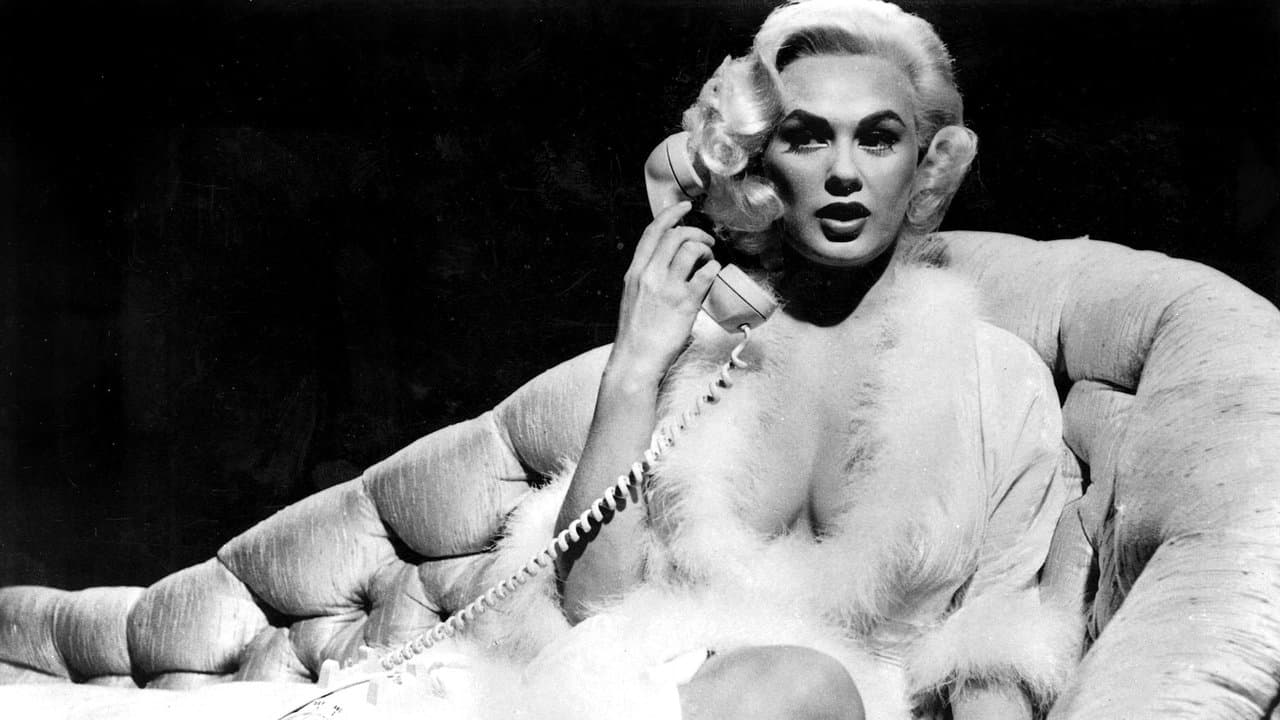 Backdrop – Razzia auf Callgirls