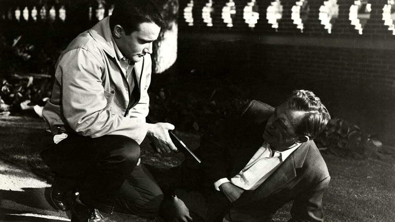 Backdrop – No Time to Be Young