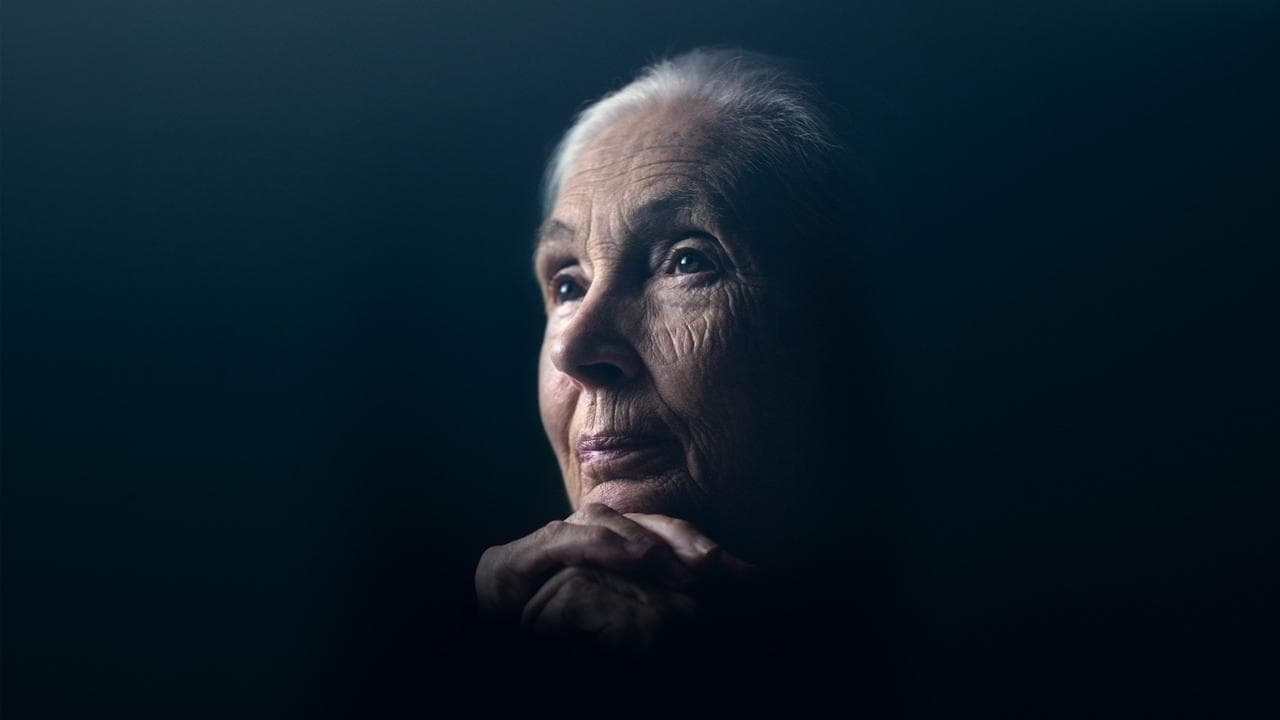 Backdrop – Jane Goodall: Hoffnung