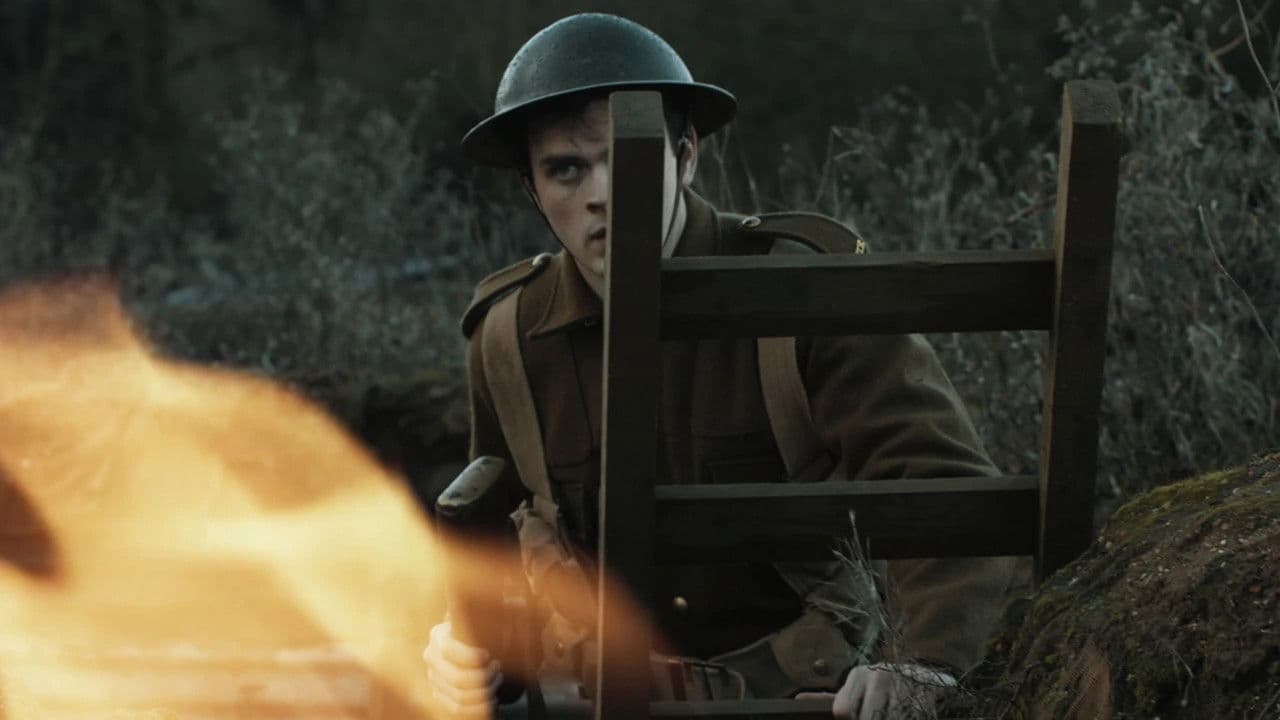 Backdrop – Divided We Stand