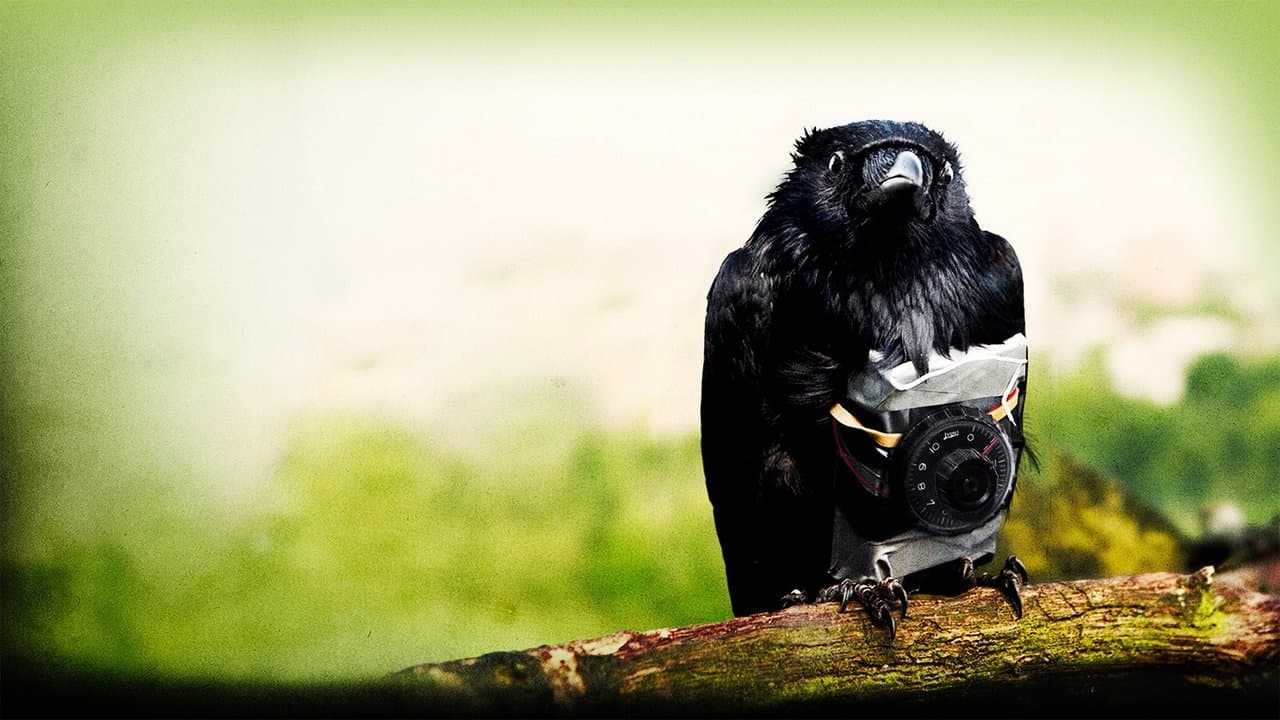 Backdrop – Four Lions