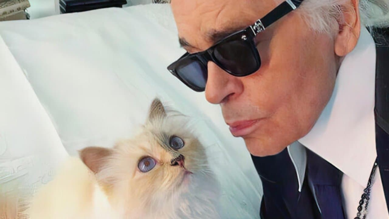 Backdrop – The Mysterious Mr. Lagerfeld
