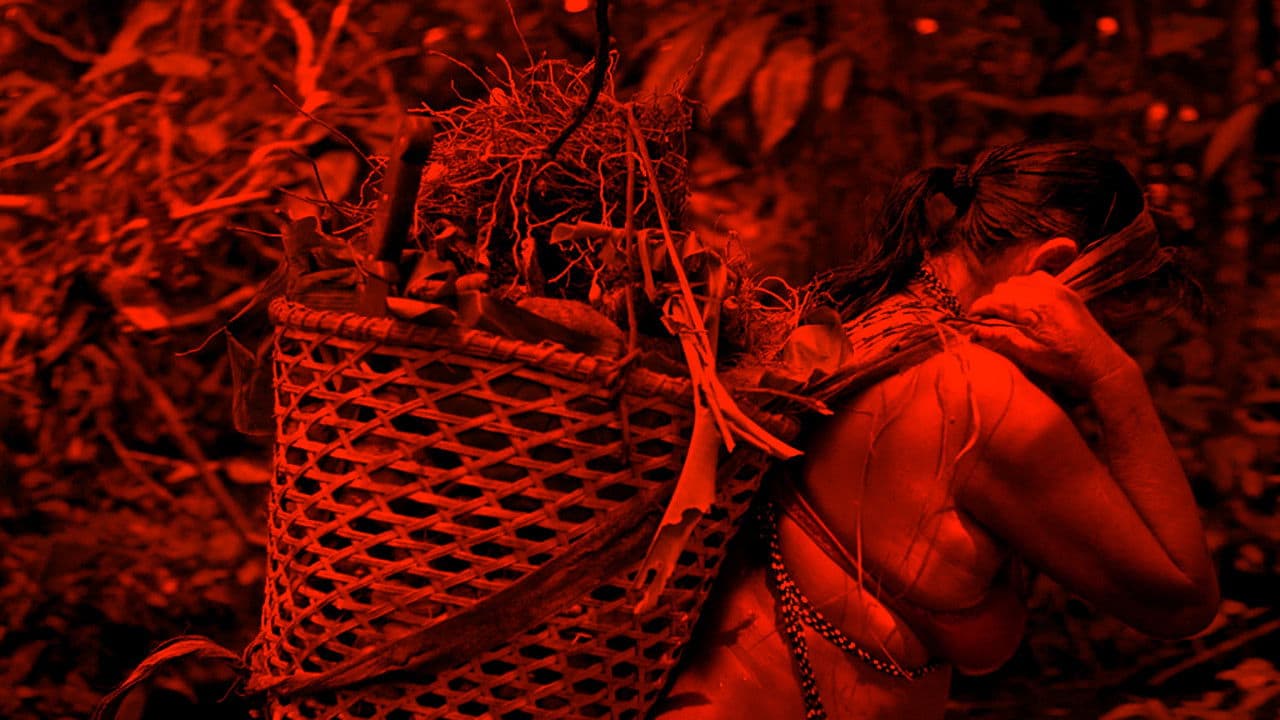 Backdrop – Quentura