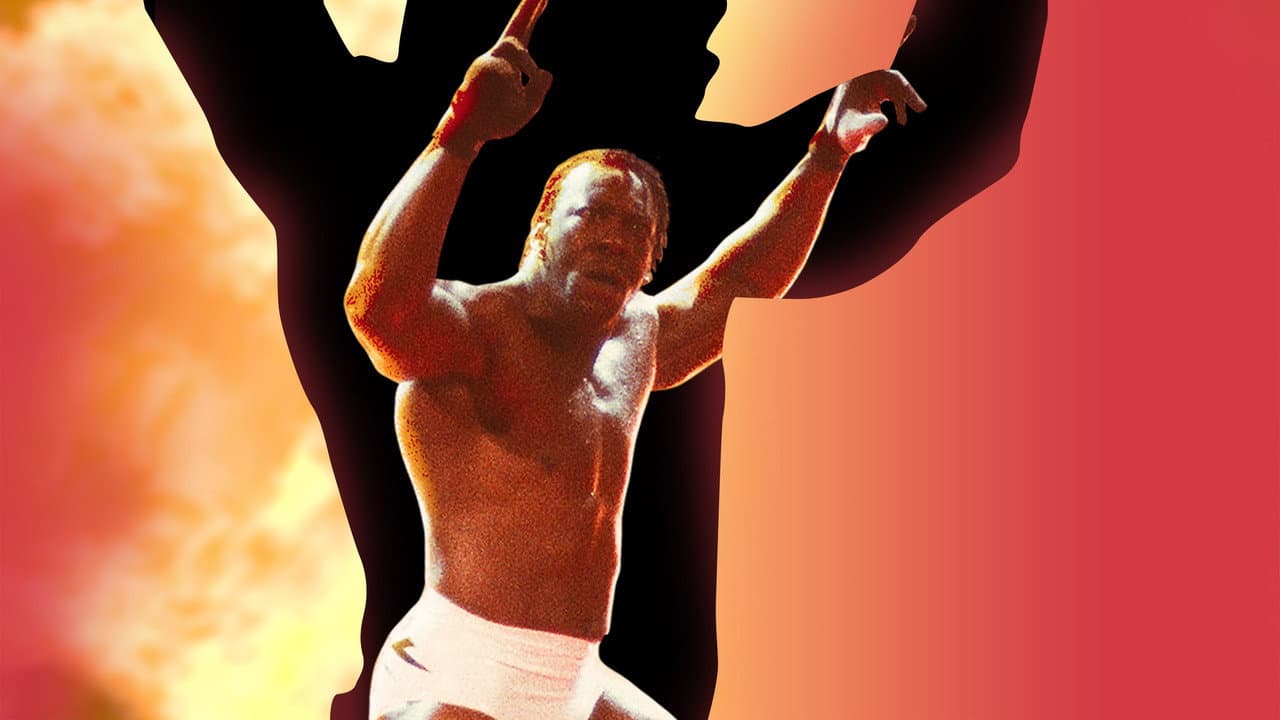 Backdrop – WWE Judgment Day 2003