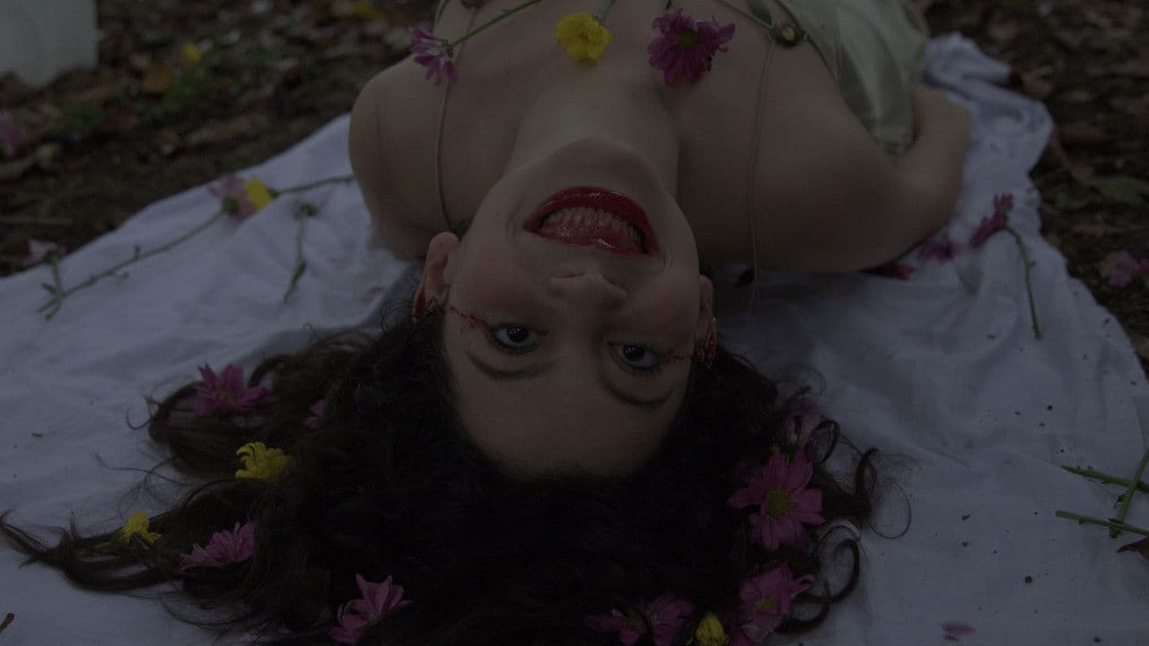 Backdrop – E Tudo Sob o Sol Está em Tom