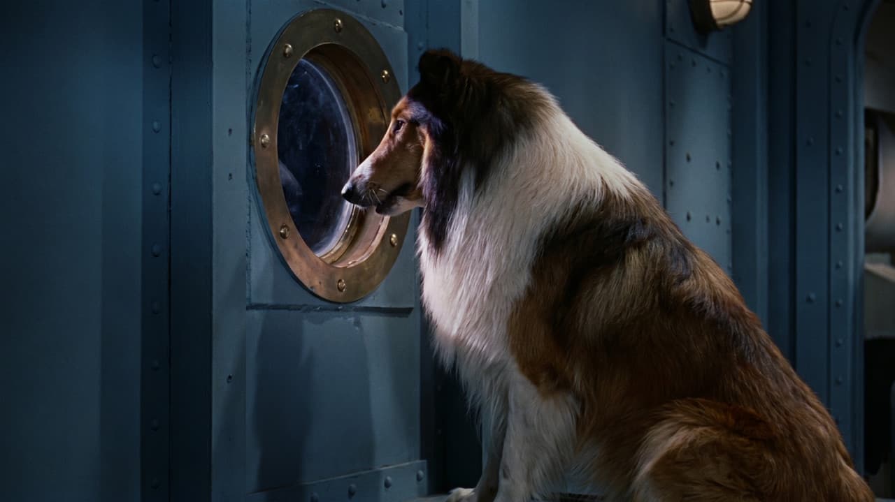 Backdrop – Lassie unterwegs