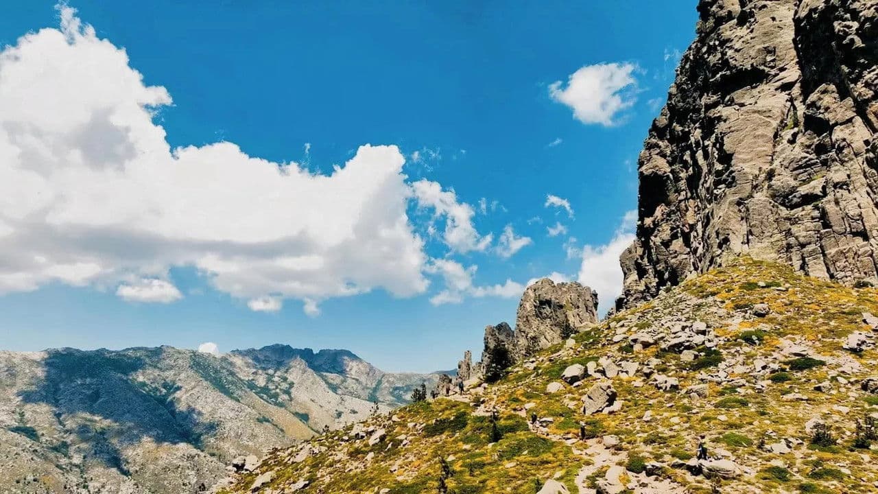 Backdrop – Ce Qui Compte