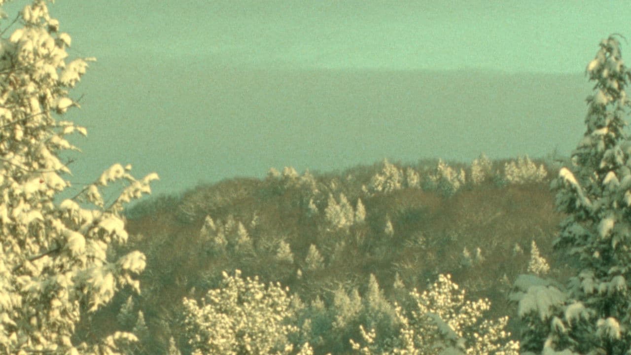 Backdrop – Winter Light