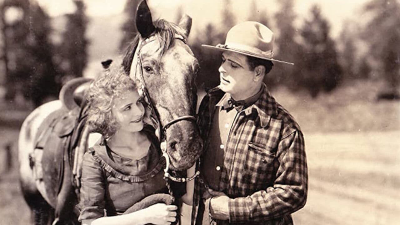 Backdrop – Desert Rider