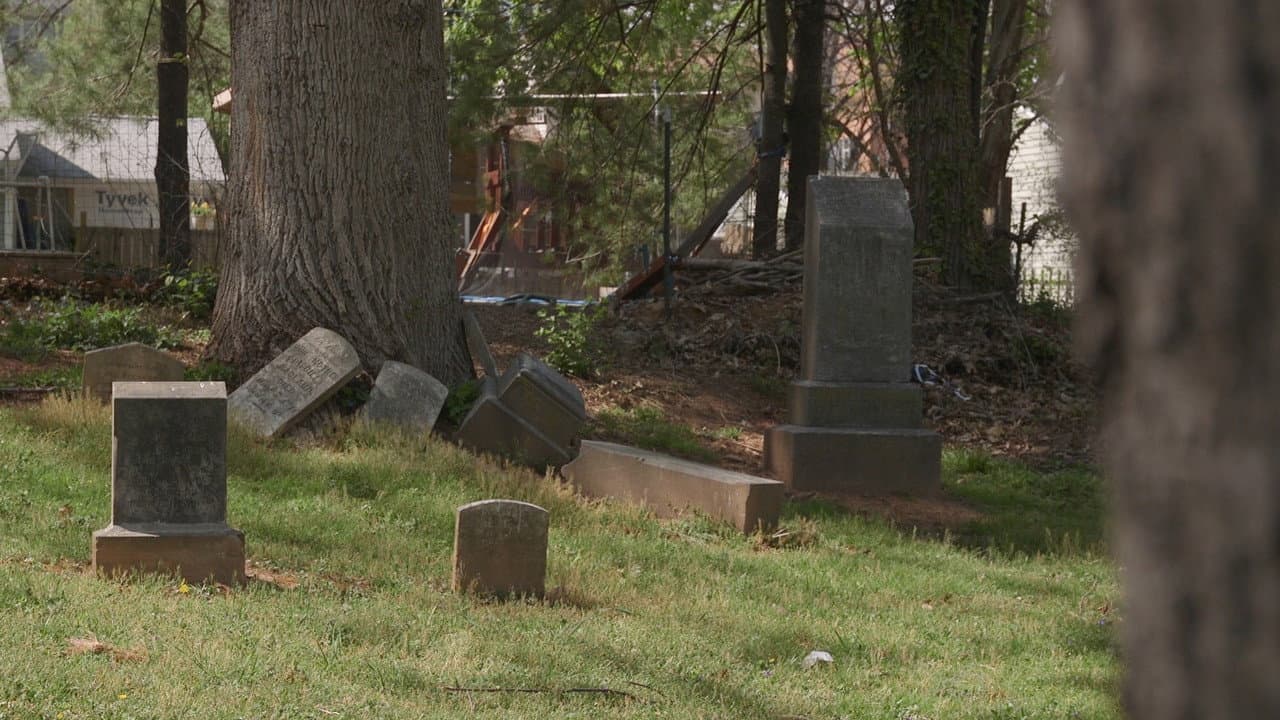 Backdrop – Unmarked