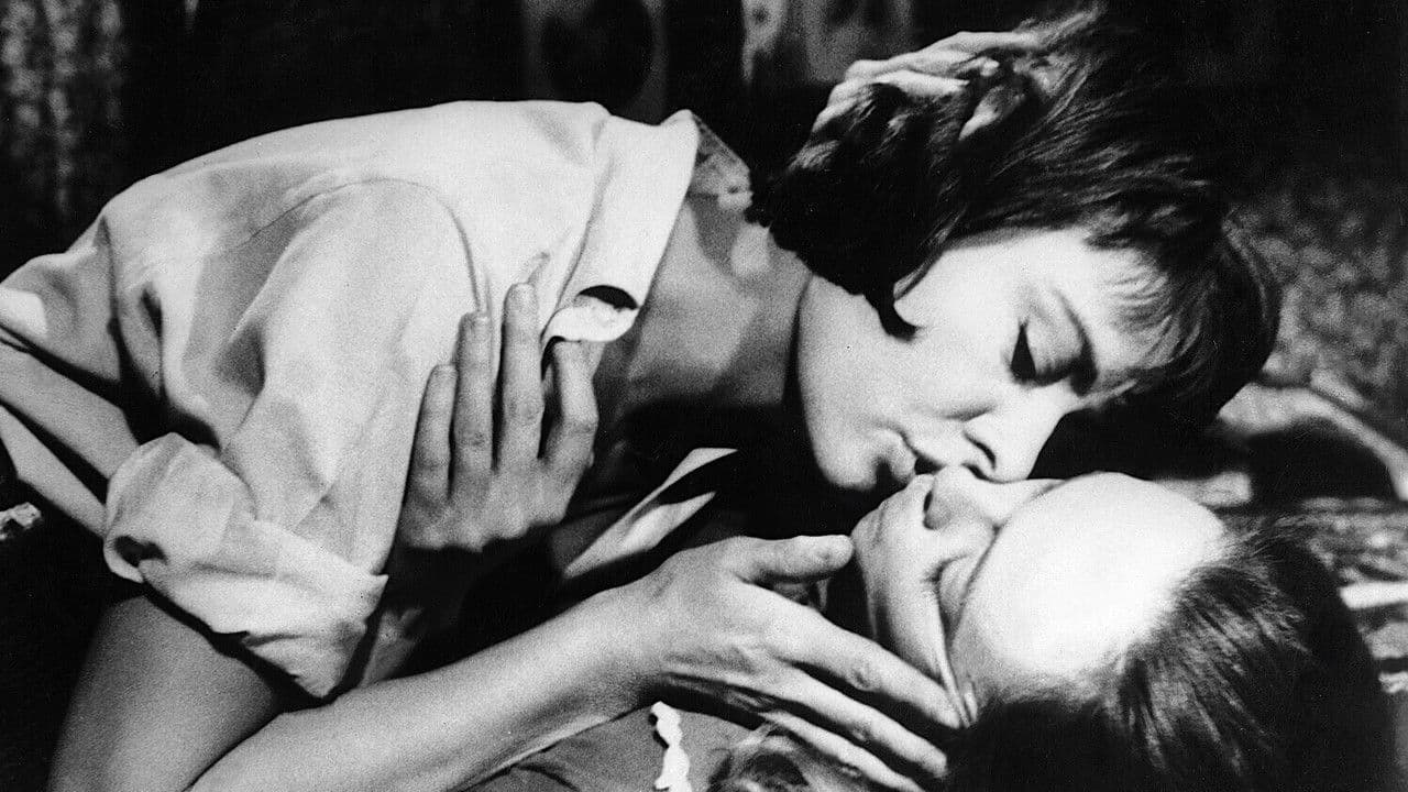 Backdrop – The Fox