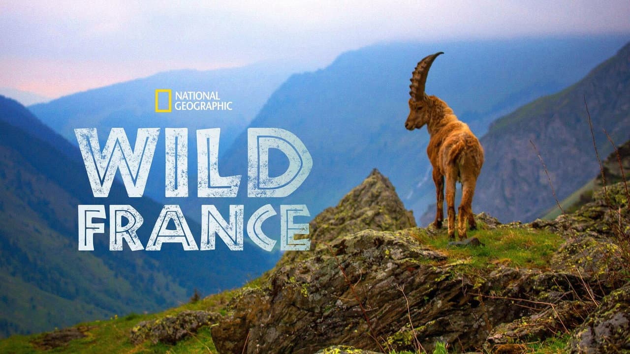 Backdrop – Wildes Frankreich