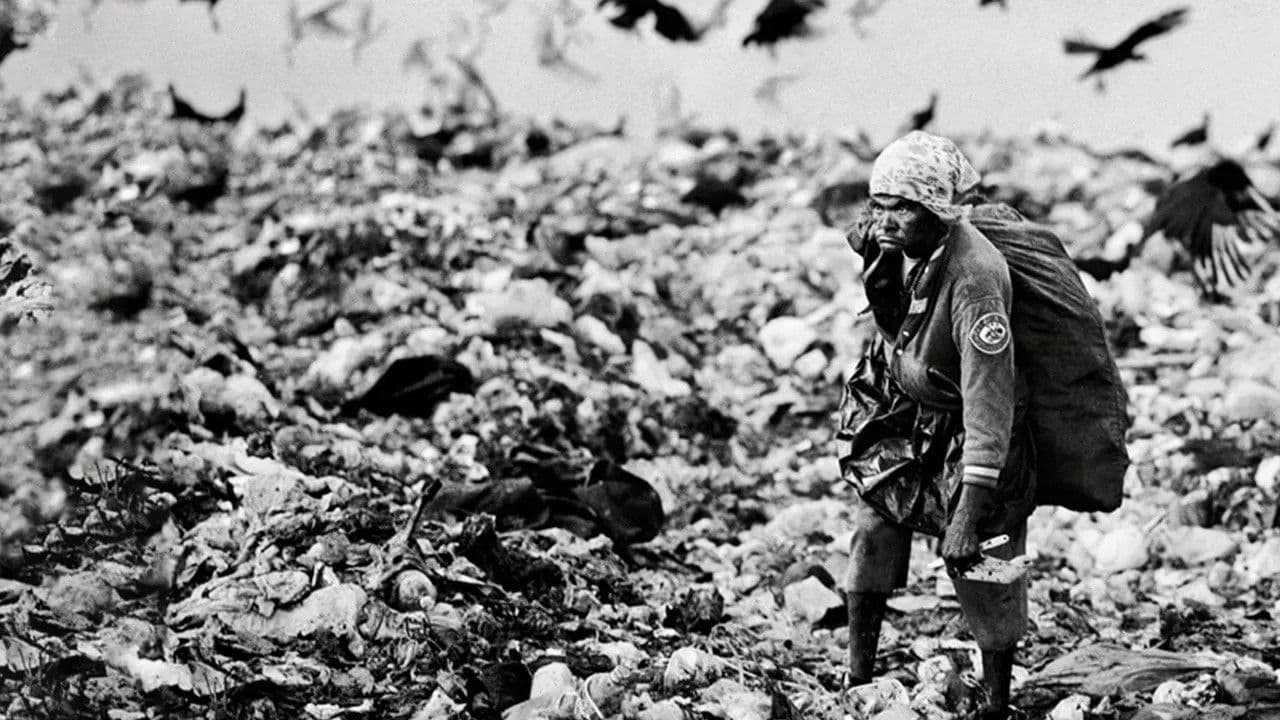 Backdrop – Estamira Para Todos E Para Ninguém