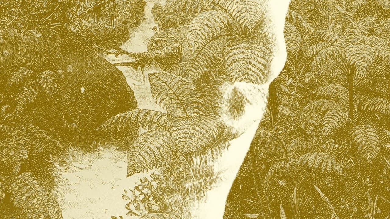 Backdrop – Baía dos Tigres
