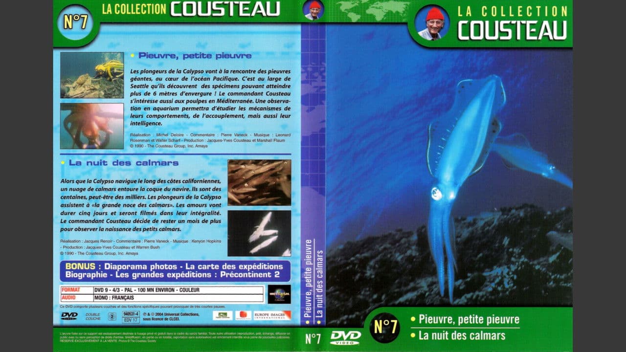 Backdrop – La collection Cousteau N°7 | Pieuvre, petite pieuvre | La nuit des calmars