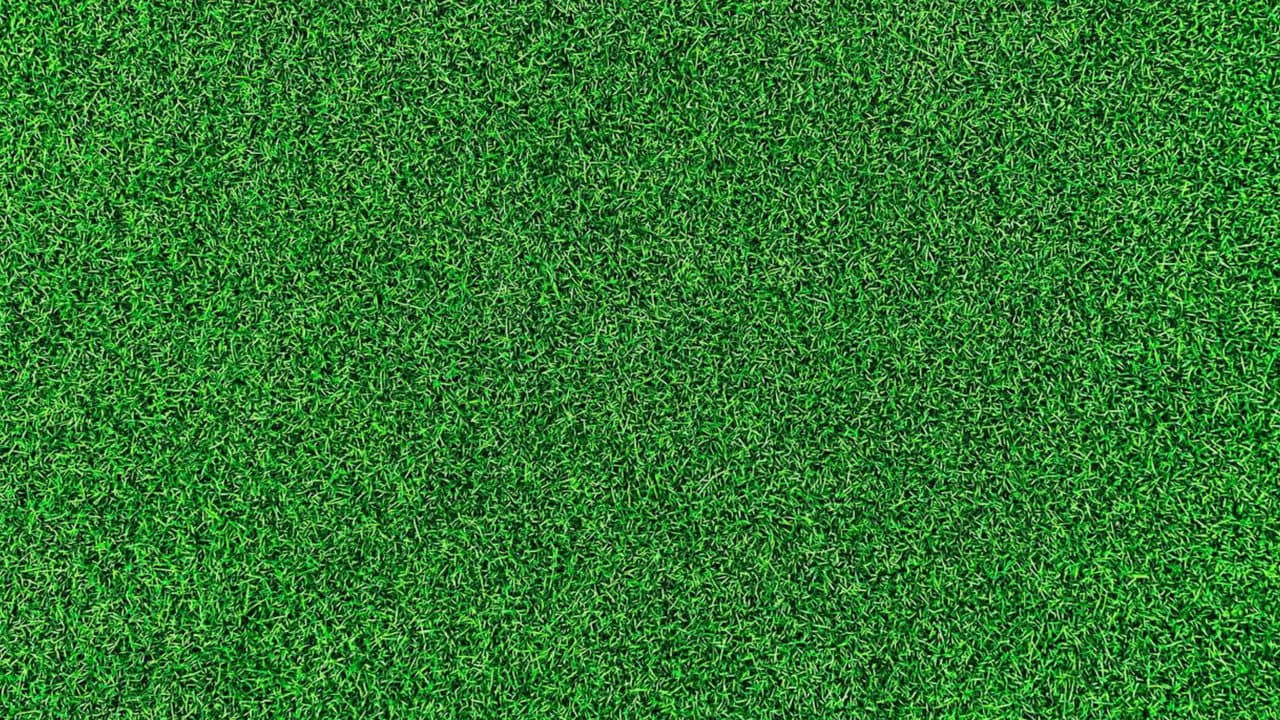 Backdrop – Life on the Green