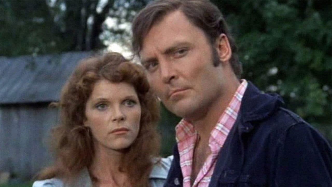 Backdrop – All die netten Fremden