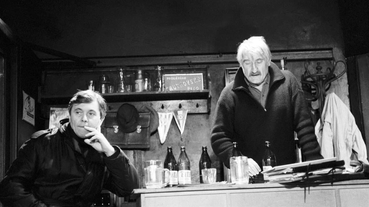 Backdrop – Audience