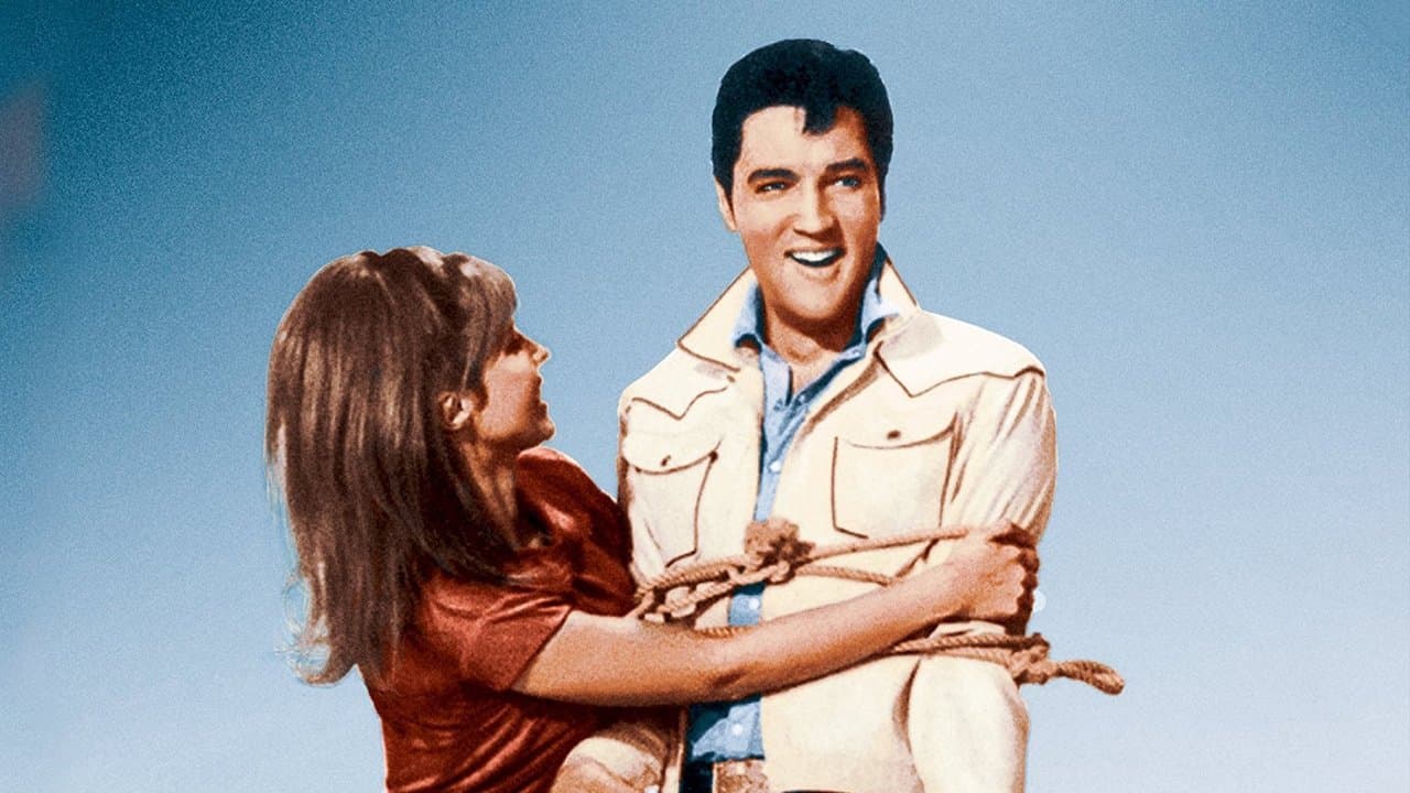 Backdrop – Cowboy Melodie