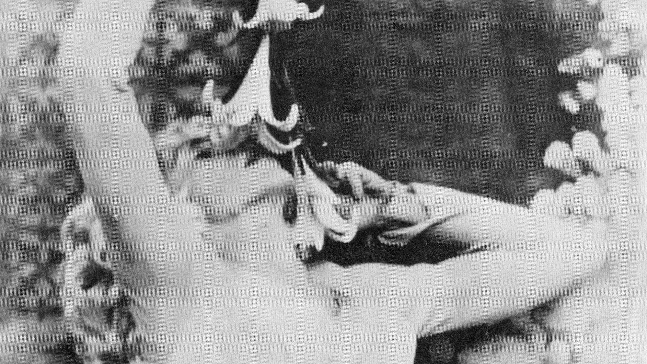 Backdrop – Flaming Creatures