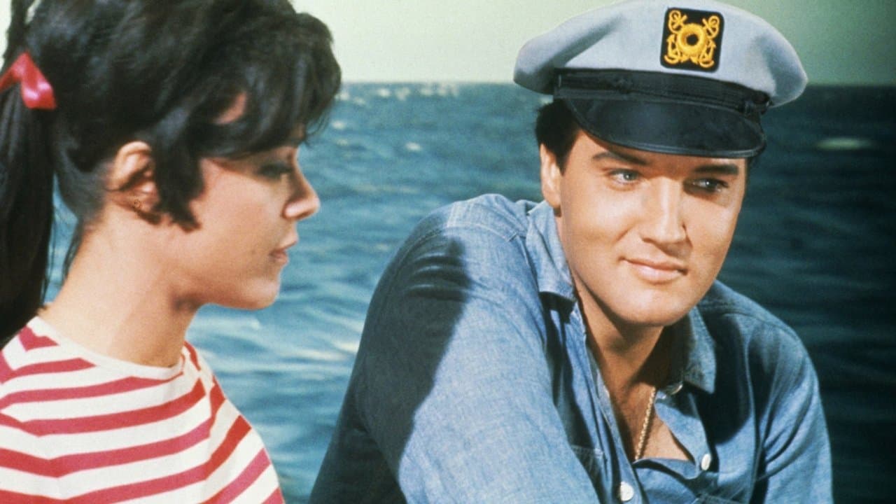 Backdrop – Seemann ahoi!