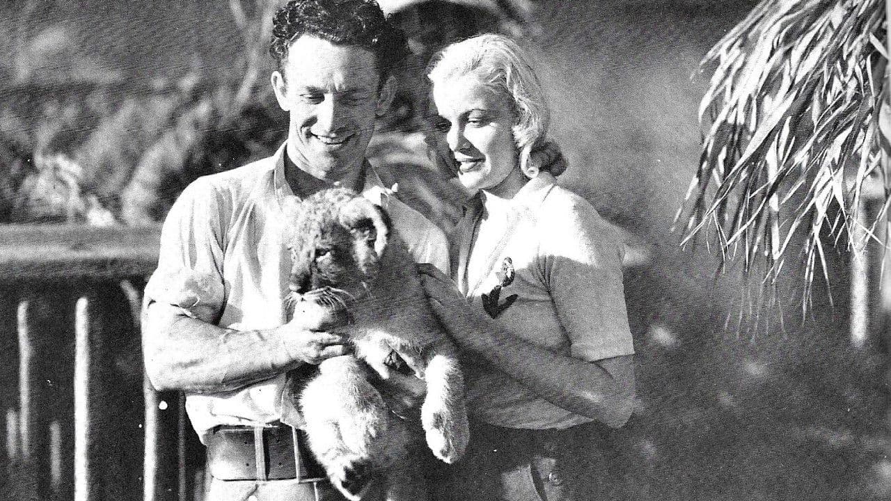 Backdrop – The Lost Jungle