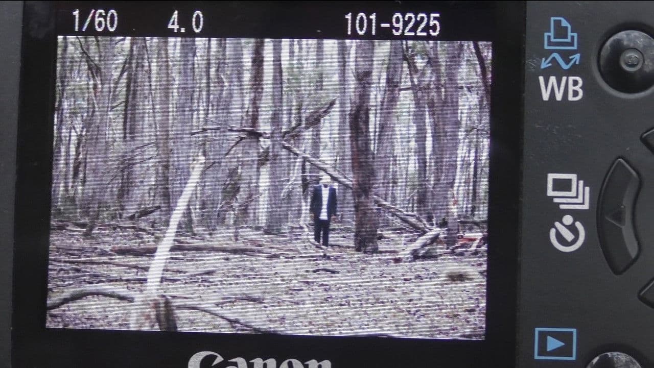 Backdrop – Exposure