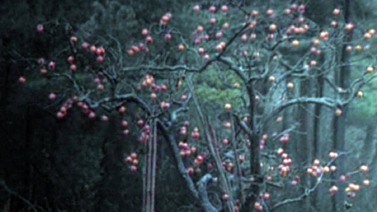 Backdrop – Элегия дороги