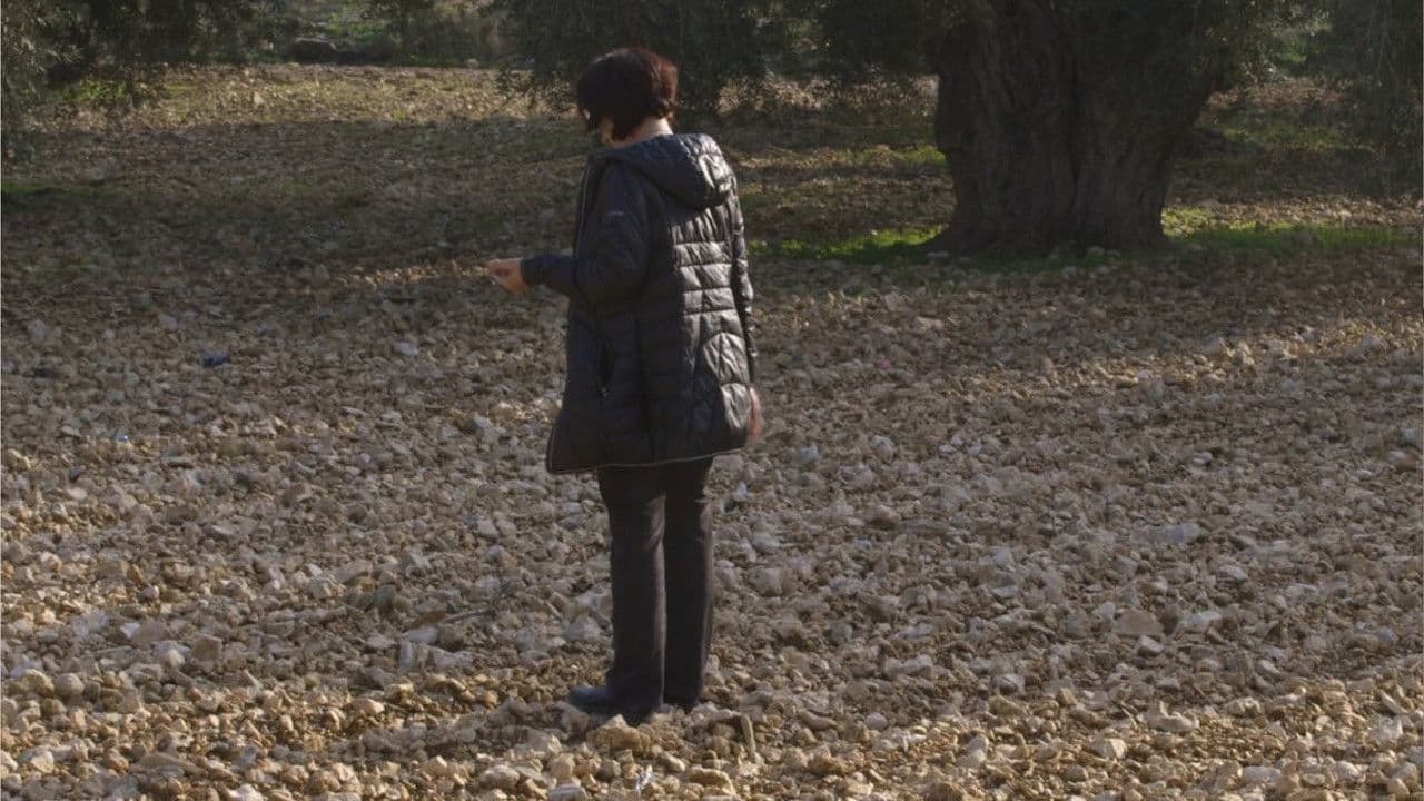 Backdrop – Something from There