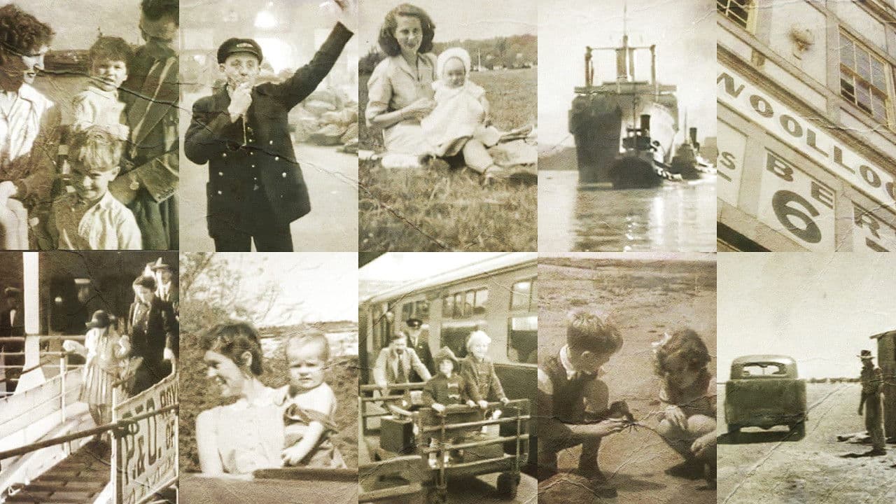 Backdrop – Ten Pound Poms