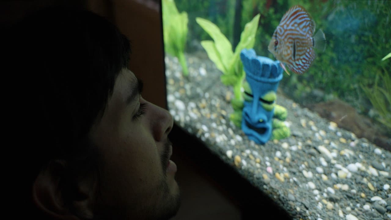 Backdrop – Notes from a Fish
