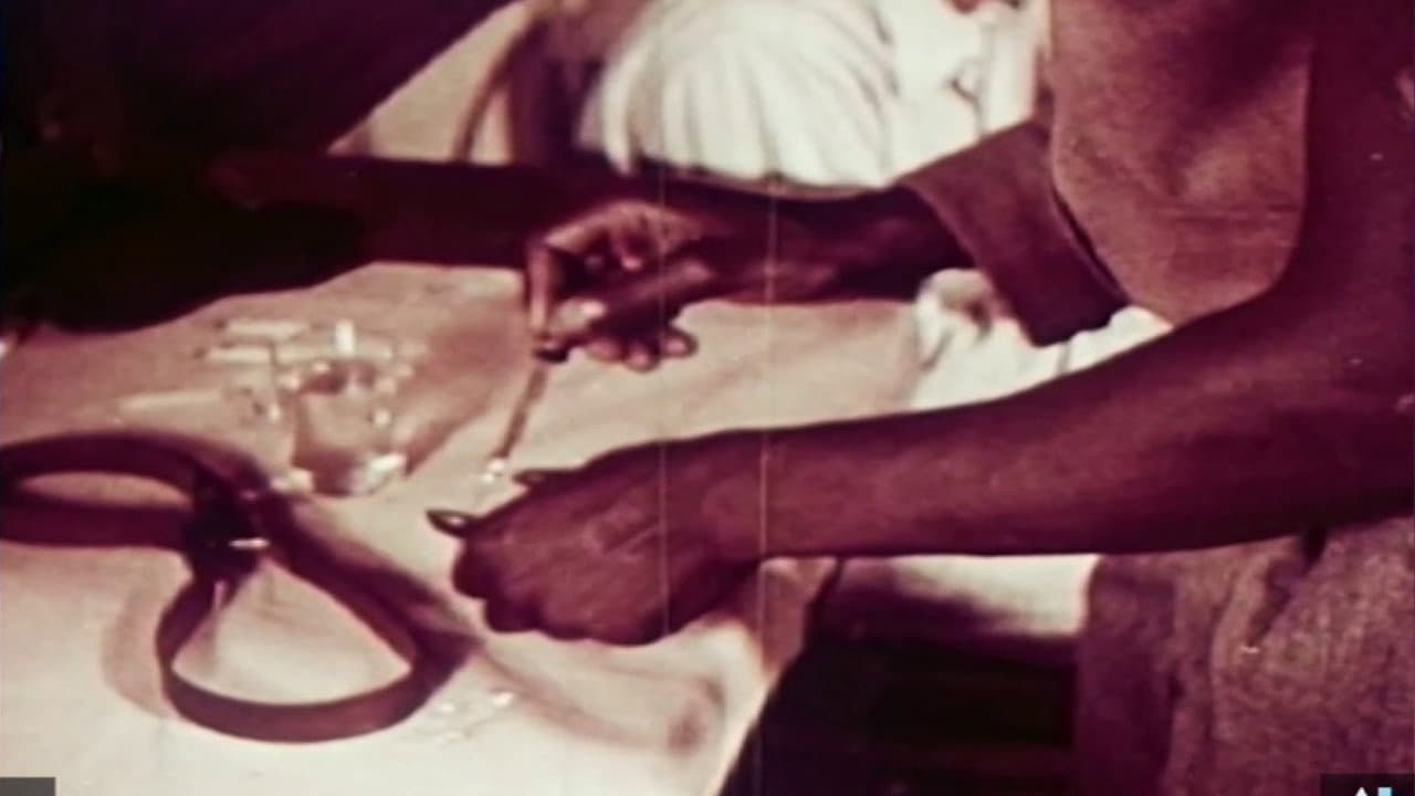 Backdrop – Subject: Narcotics